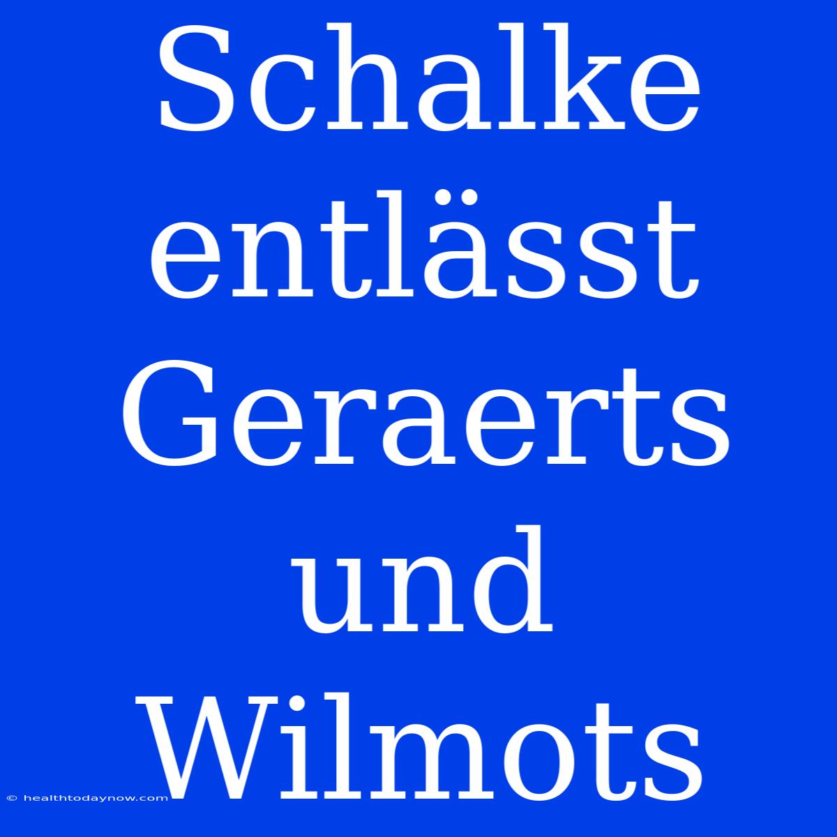 Schalke Entlässt Geraerts Und Wilmots