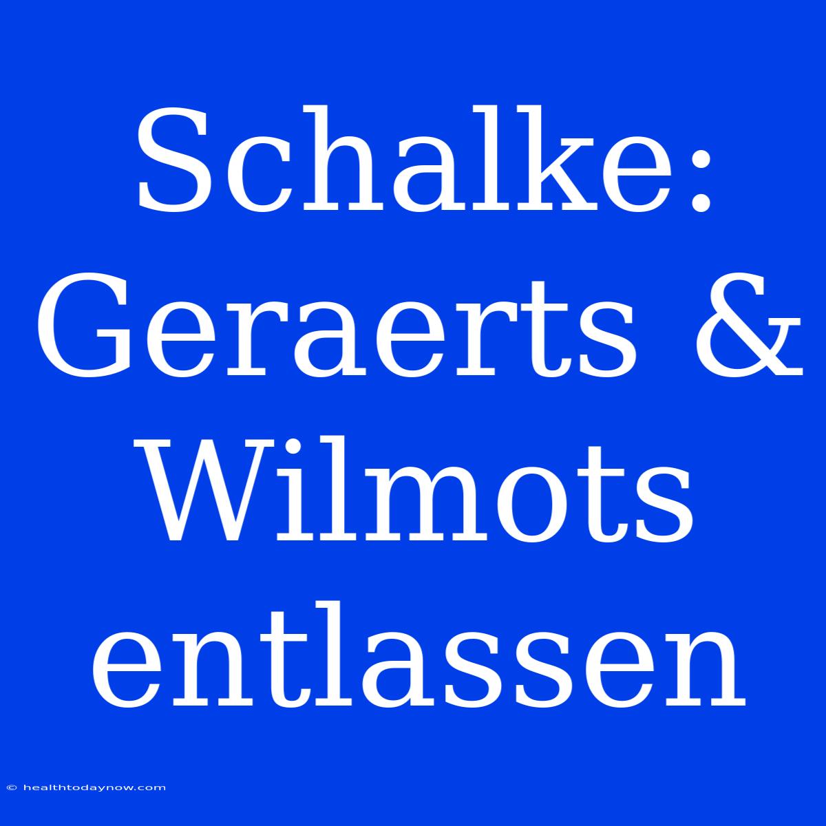 Schalke: Geraerts & Wilmots Entlassen