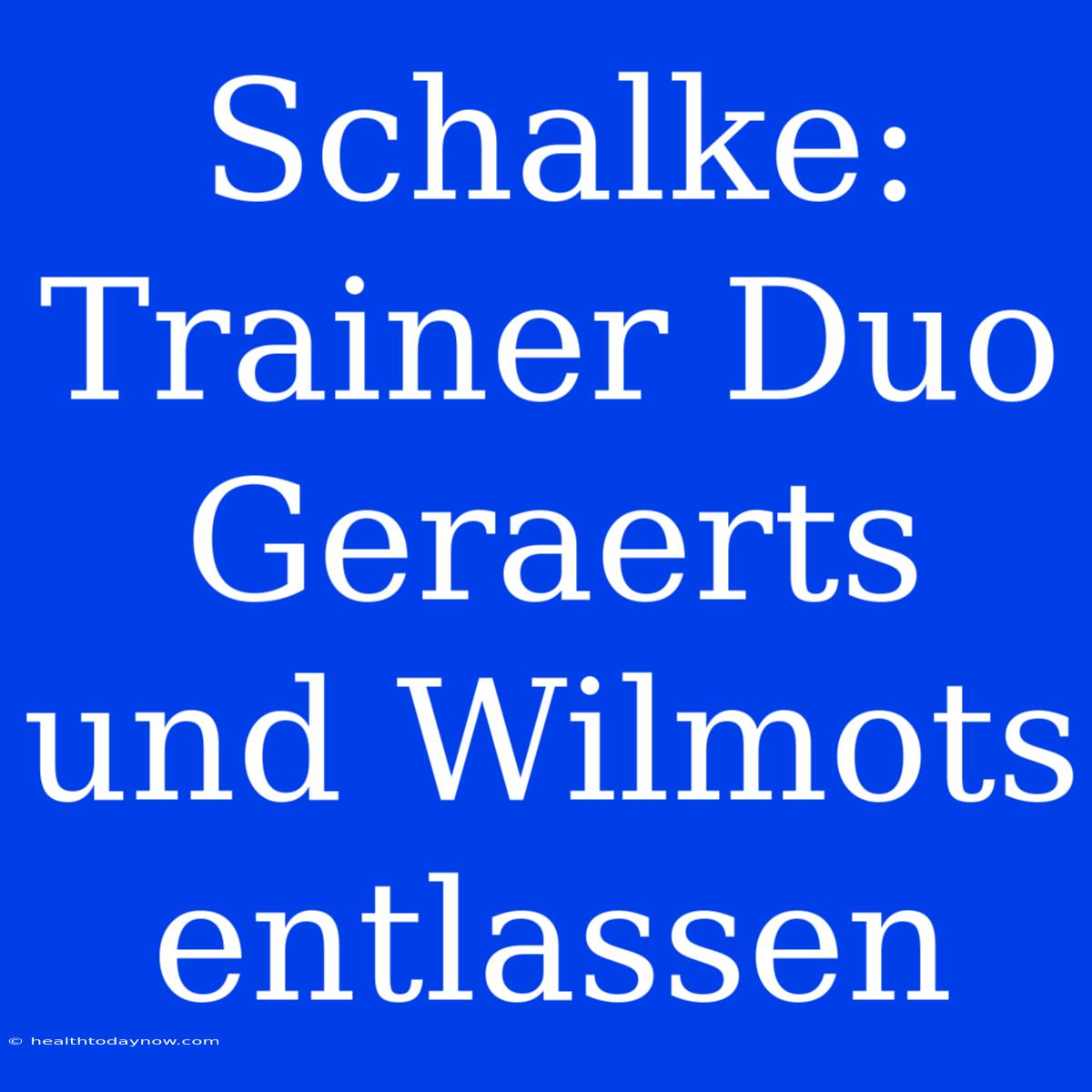 Schalke: Trainer Duo Geraerts Und Wilmots Entlassen