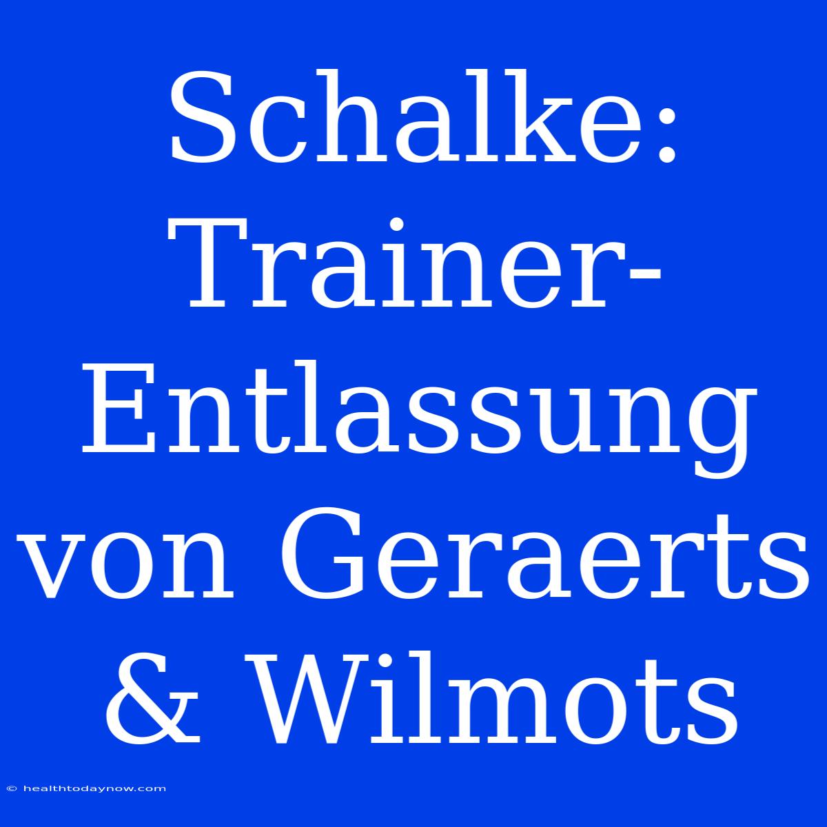 Schalke: Trainer-Entlassung Von Geraerts & Wilmots 