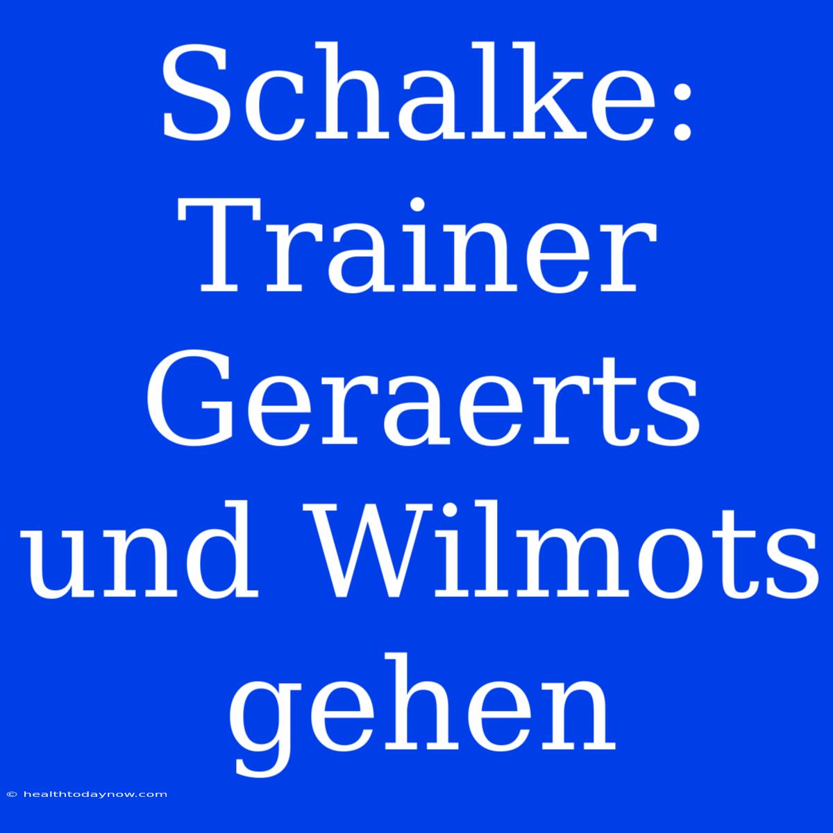 Schalke: Trainer Geraerts Und Wilmots Gehen