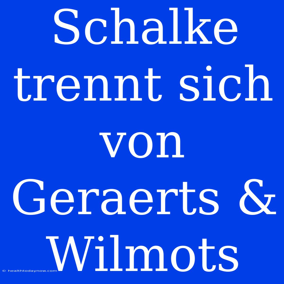 Schalke Trennt Sich Von Geraerts & Wilmots