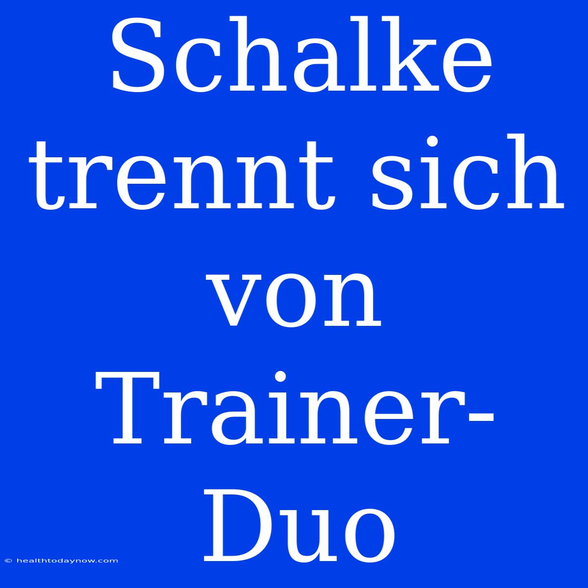 Schalke Trennt Sich Von Trainer-Duo