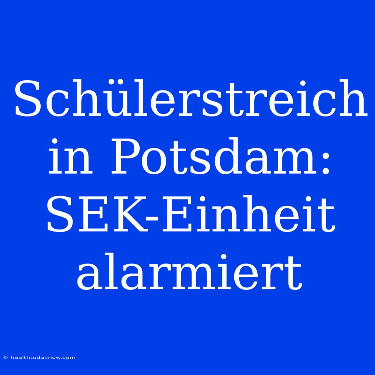 Schülerstreich In Potsdam: SEK-Einheit Alarmiert 