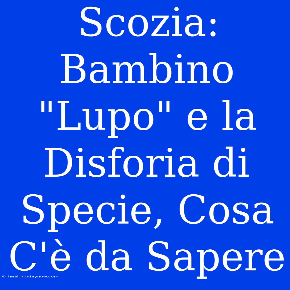 Scozia: Bambino 