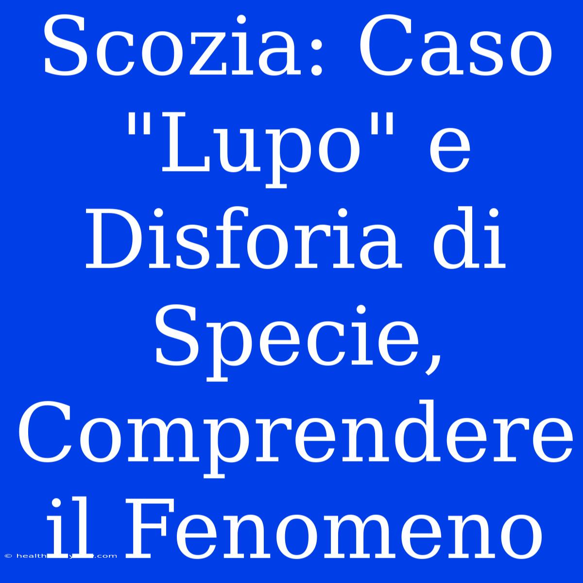 Scozia: Caso 