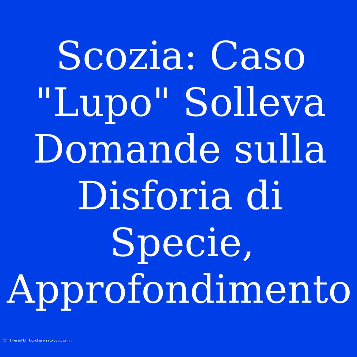 Scozia: Caso 