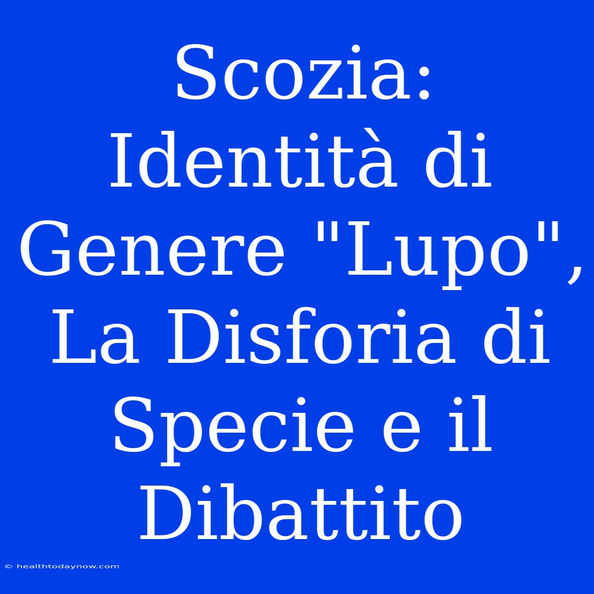 Scozia: Identità Di Genere 