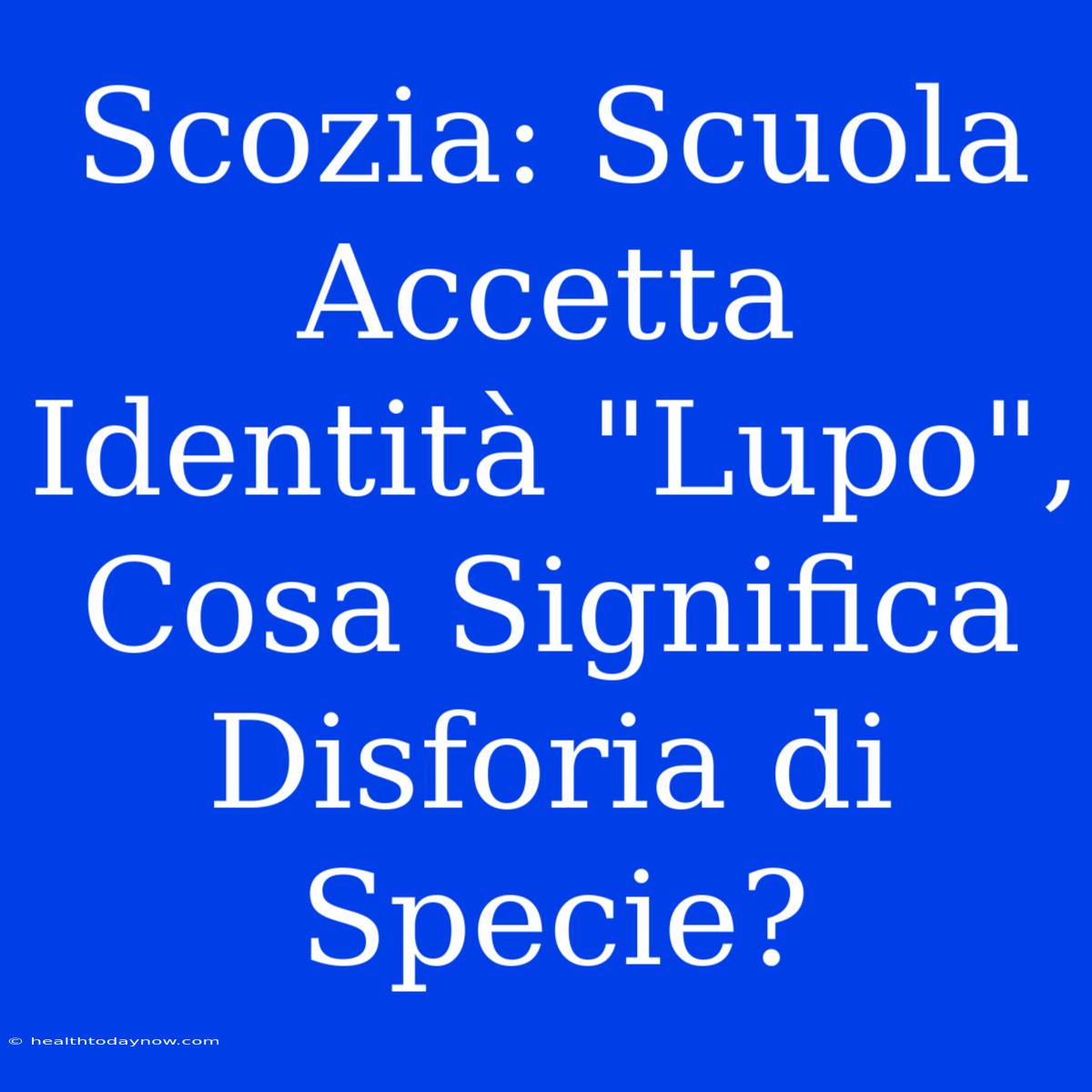 Scozia: Scuola Accetta Identità 