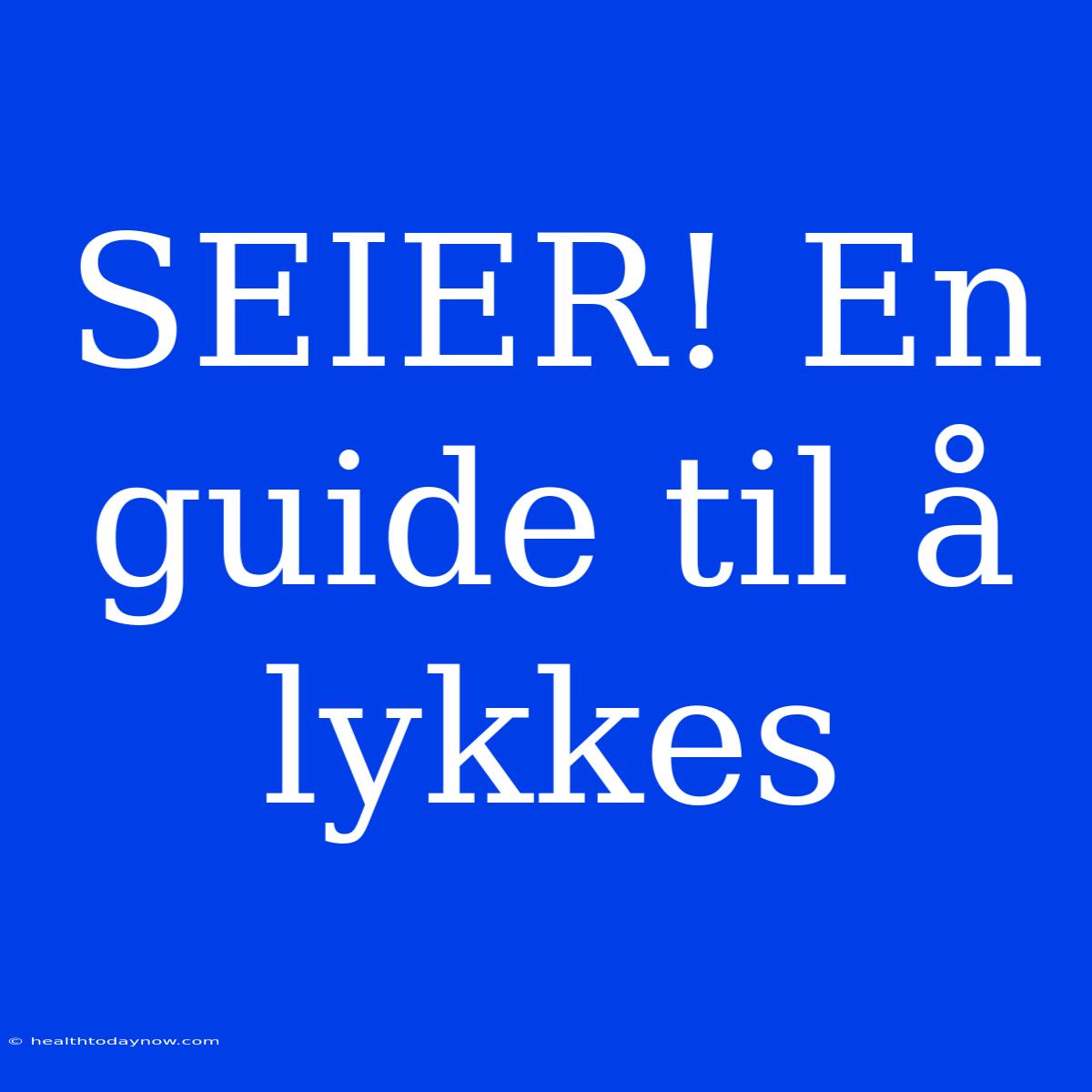 SEIER! En Guide Til Å Lykkes