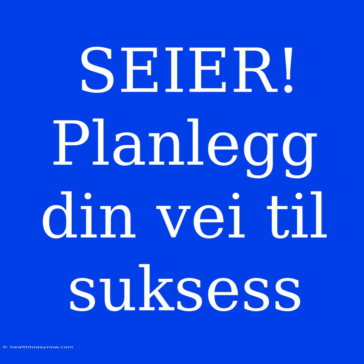 SEIER! Planlegg Din Vei Til Suksess