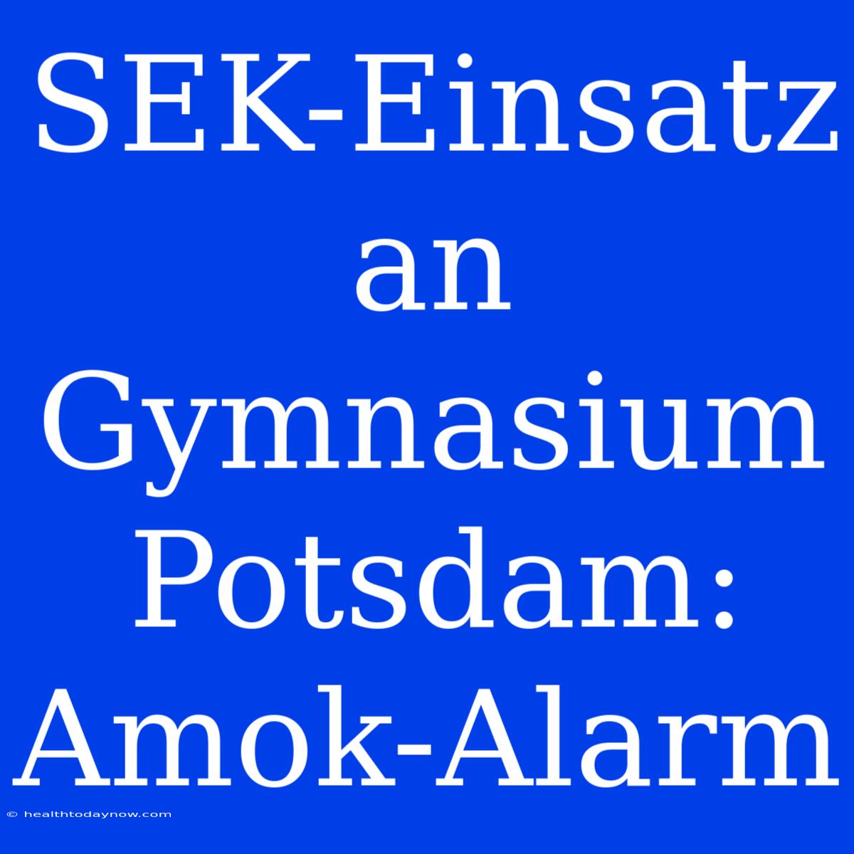 SEK-Einsatz An Gymnasium Potsdam: Amok-Alarm 