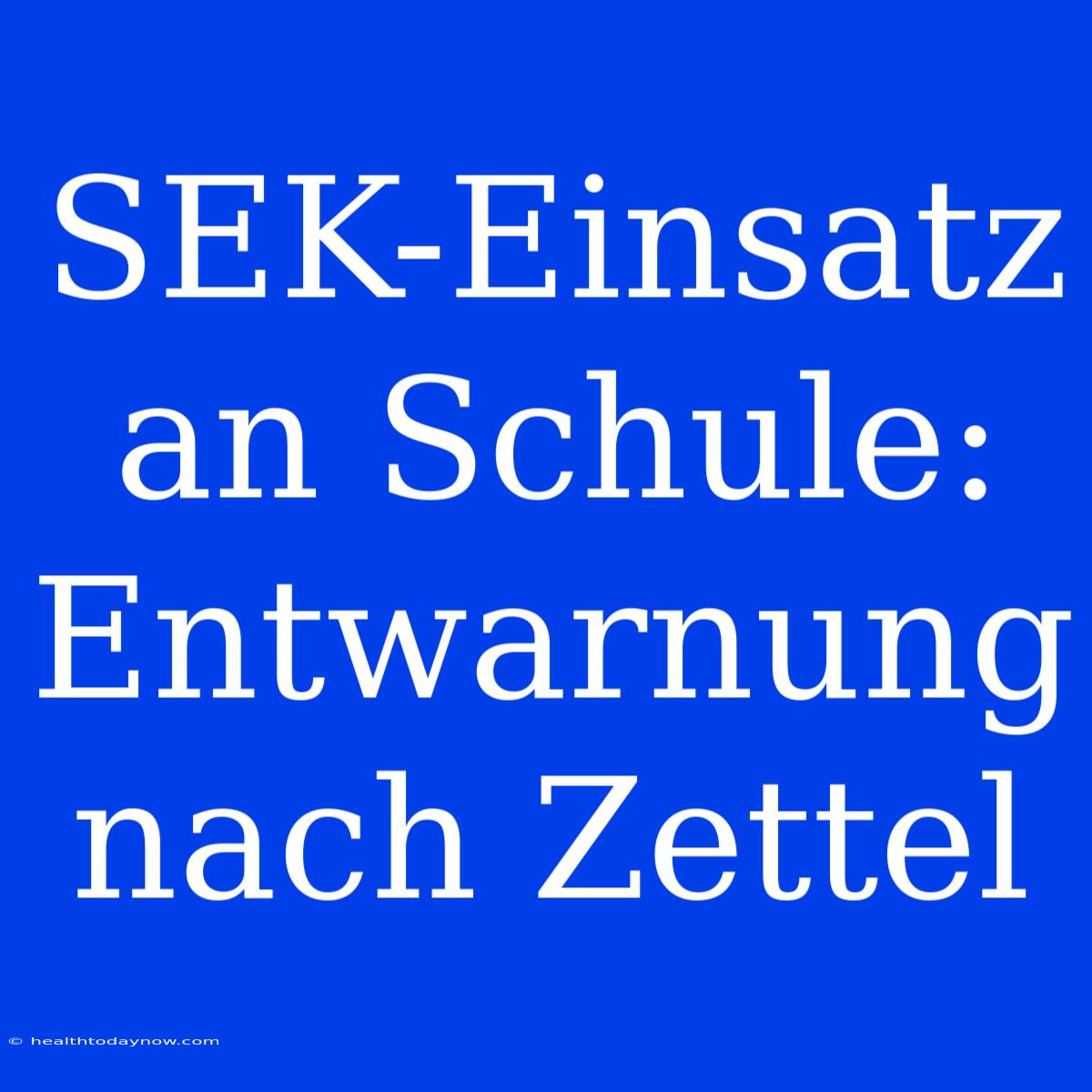 SEK-Einsatz An Schule: Entwarnung Nach Zettel