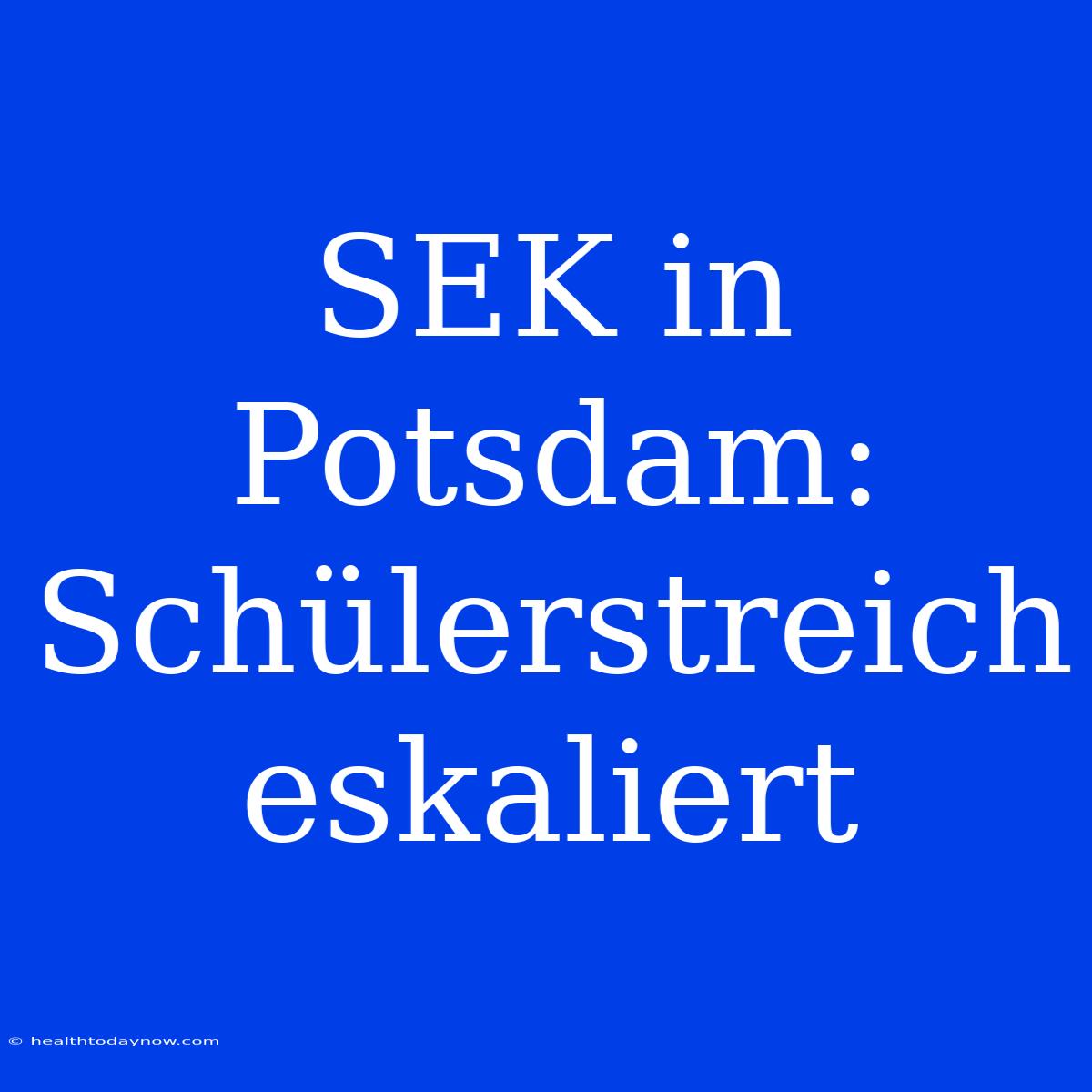 SEK In Potsdam: Schülerstreich Eskaliert