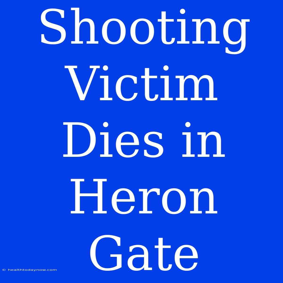 Shooting Victim Dies In Heron Gate