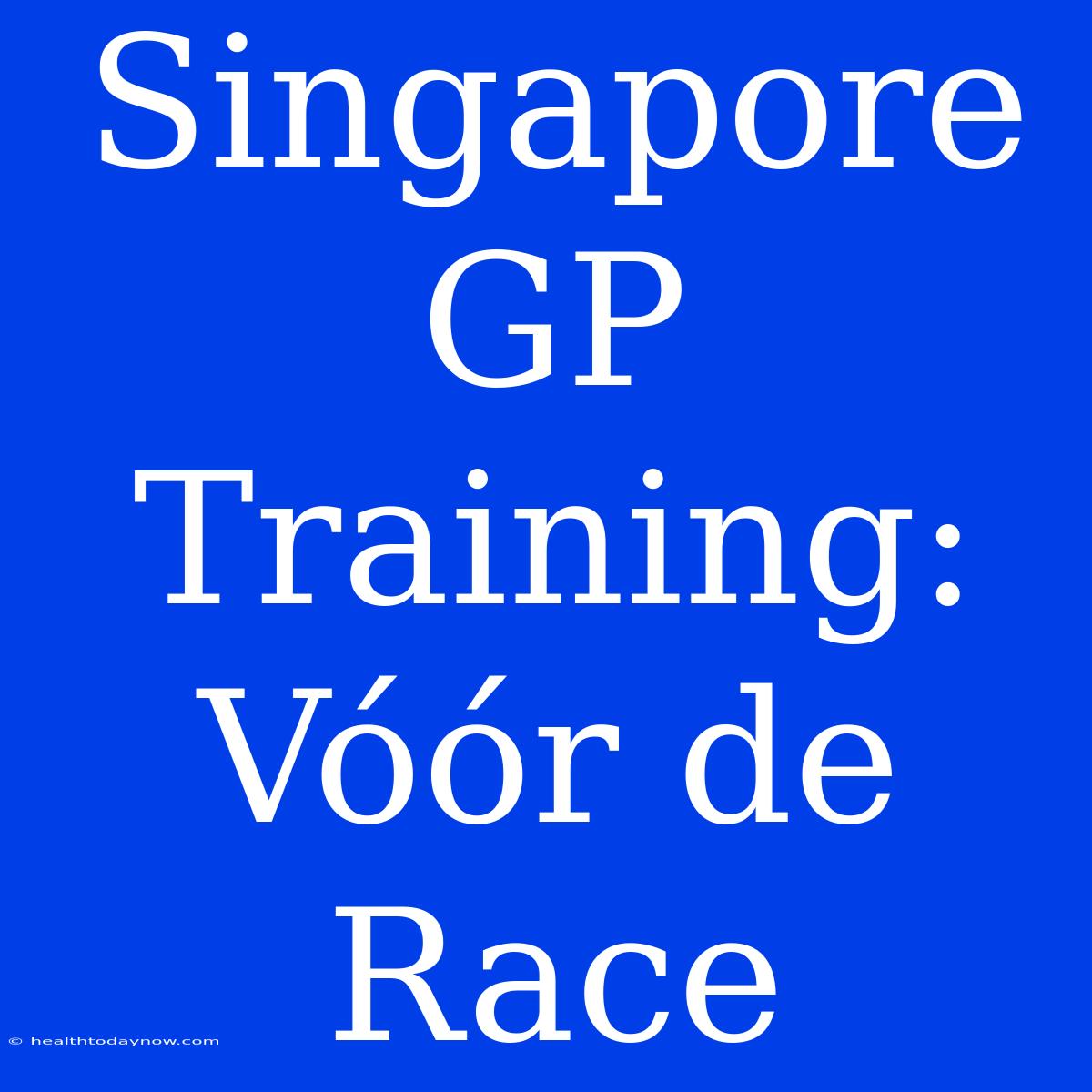 Singapore GP Training: Vóór De Race