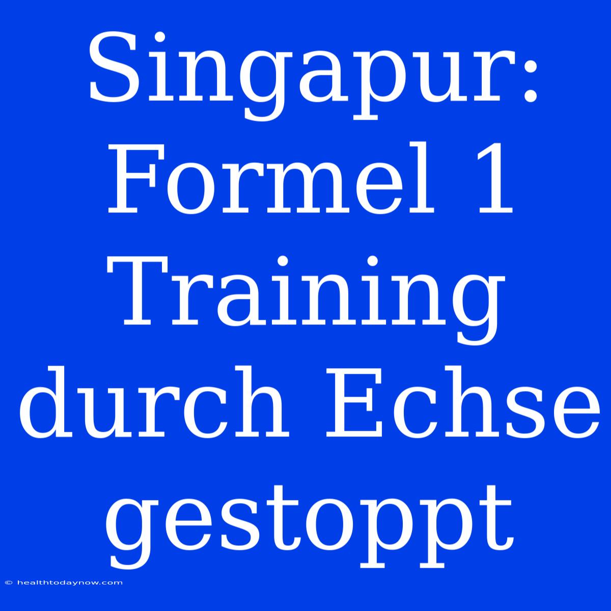 Singapur: Formel 1 Training Durch Echse Gestoppt