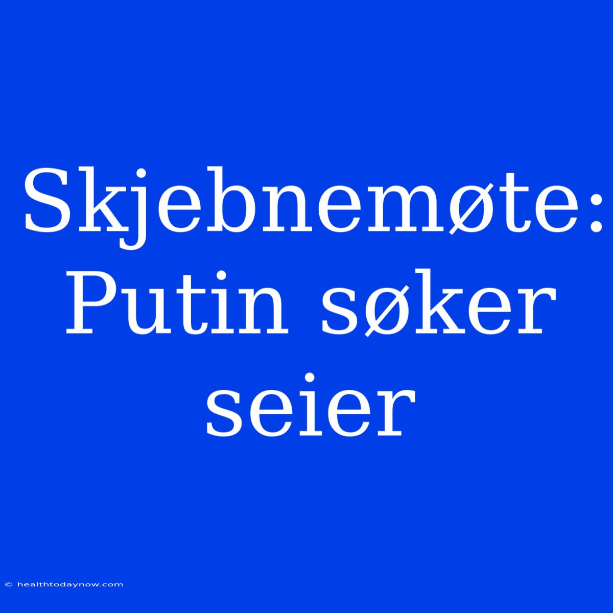 Skjebnemøte: Putin Søker Seier 