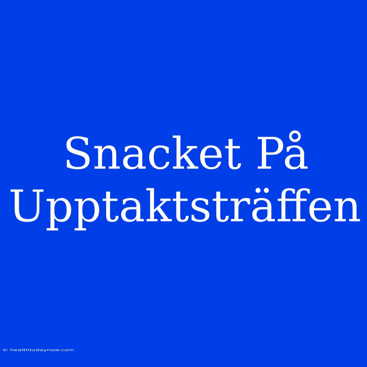 Snacket På Upptaktsträffen