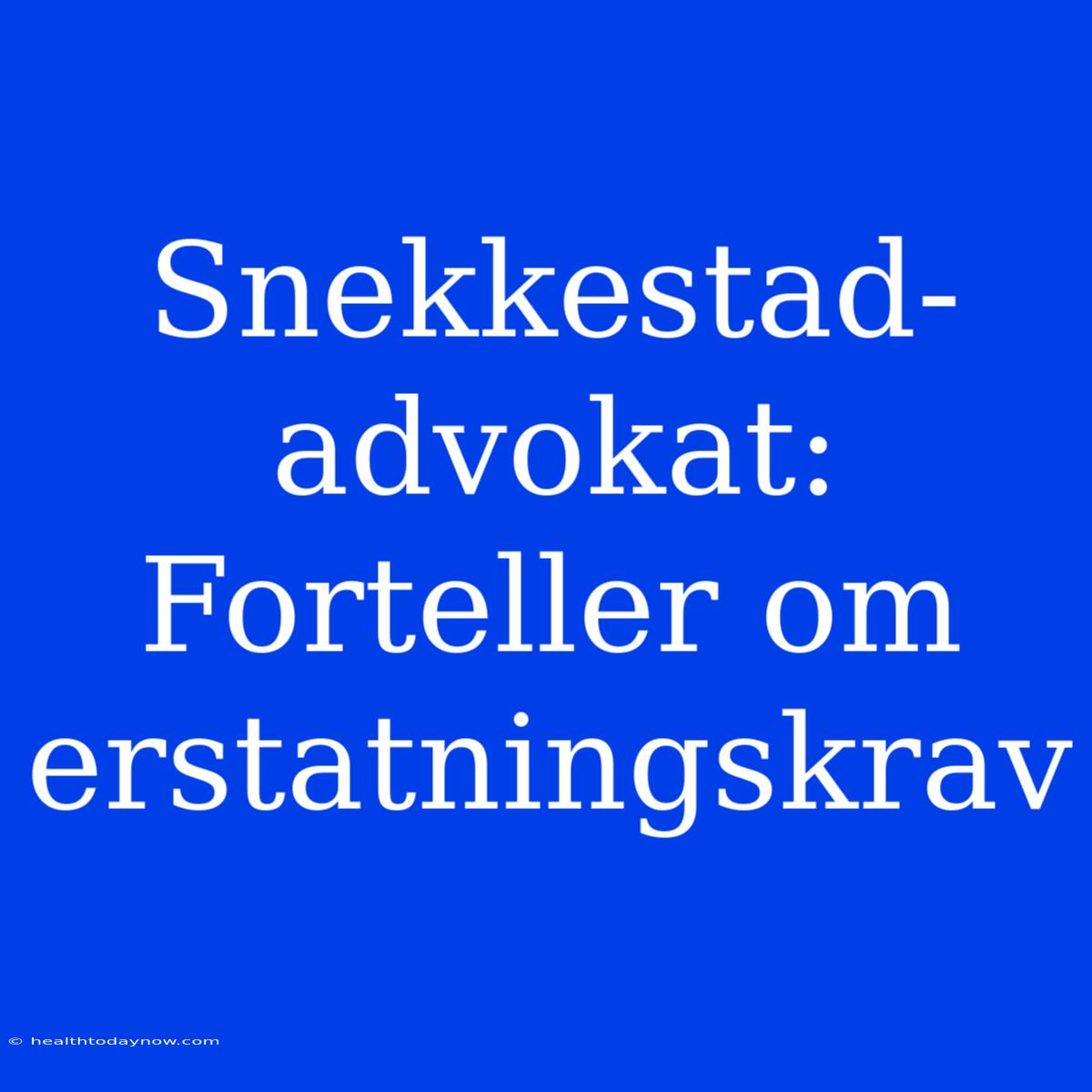 Snekkestad-advokat: Forteller Om Erstatningskrav