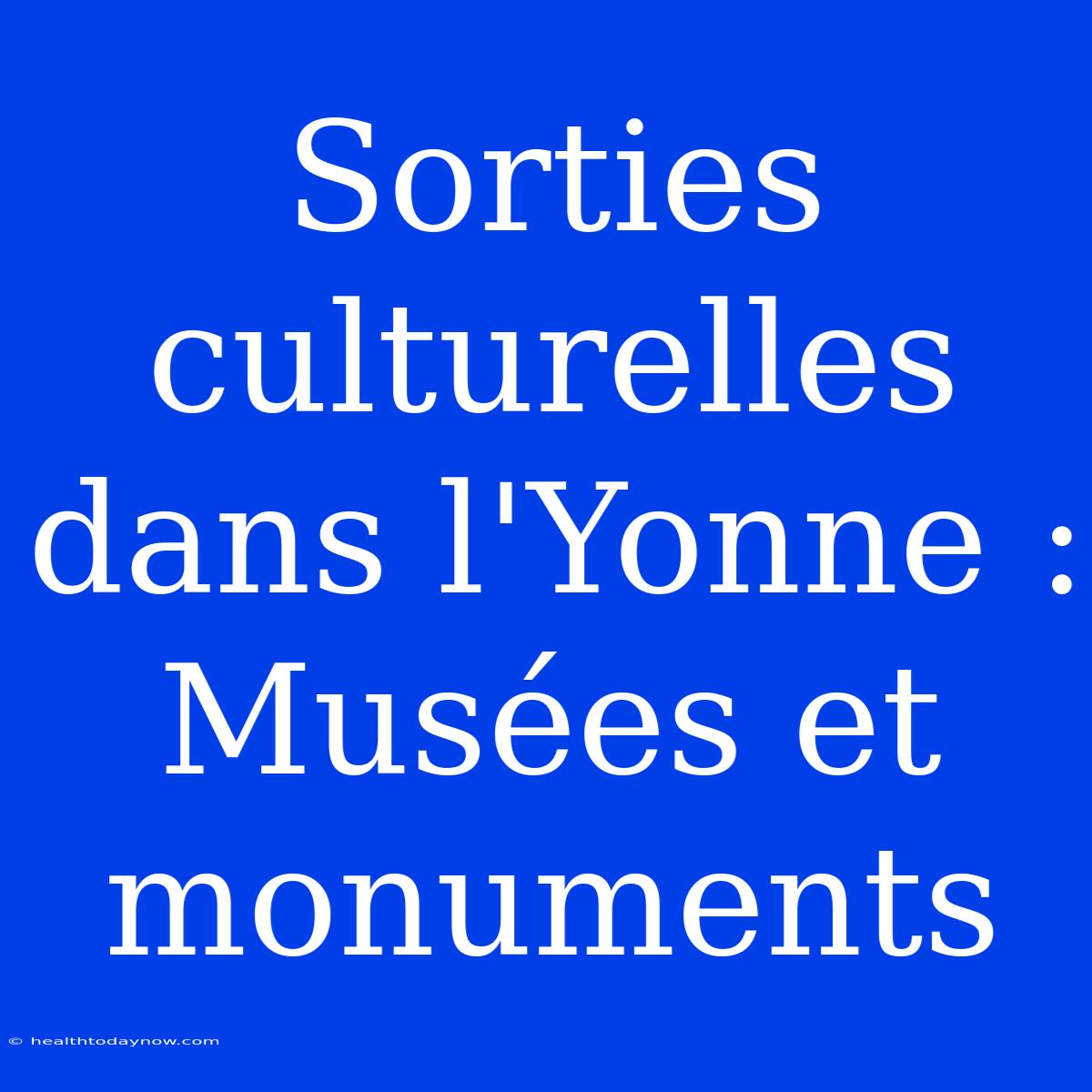 Sorties Culturelles Dans L'Yonne : Musées Et Monuments 