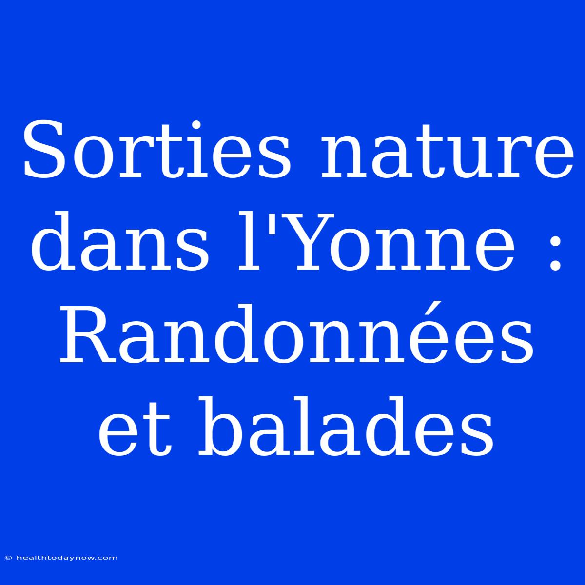 Sorties Nature Dans L'Yonne : Randonnées Et Balades