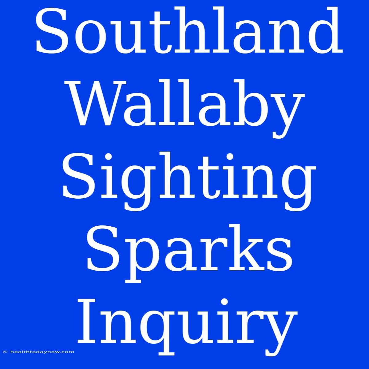 Southland Wallaby Sighting Sparks Inquiry