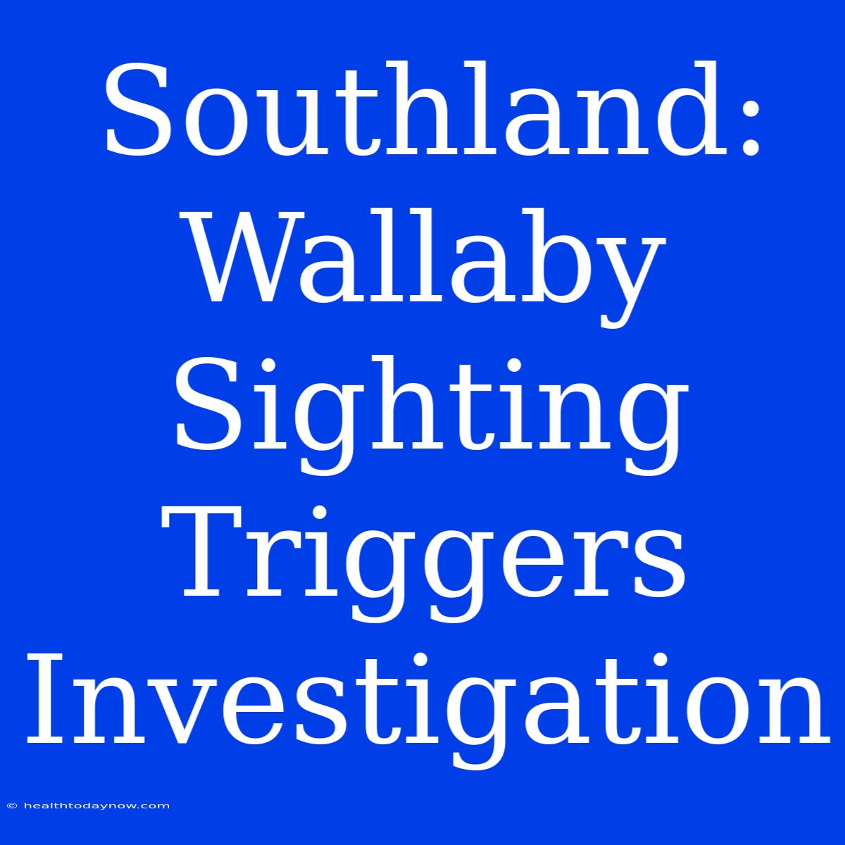 Southland: Wallaby Sighting Triggers Investigation