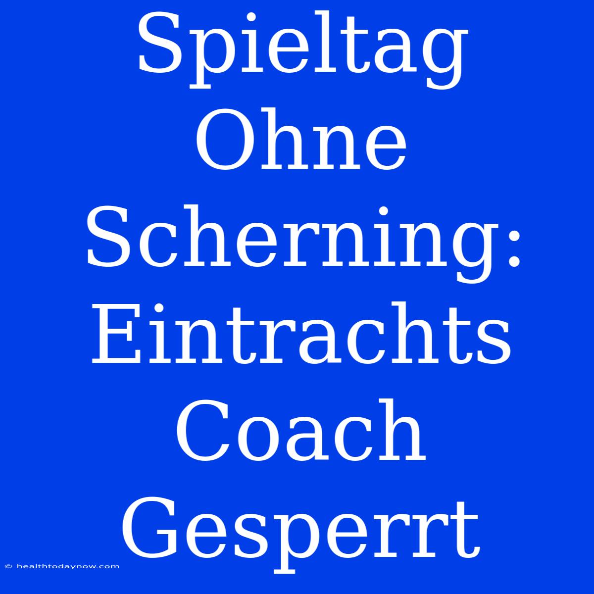 Spieltag Ohne Scherning: Eintrachts Coach Gesperrt