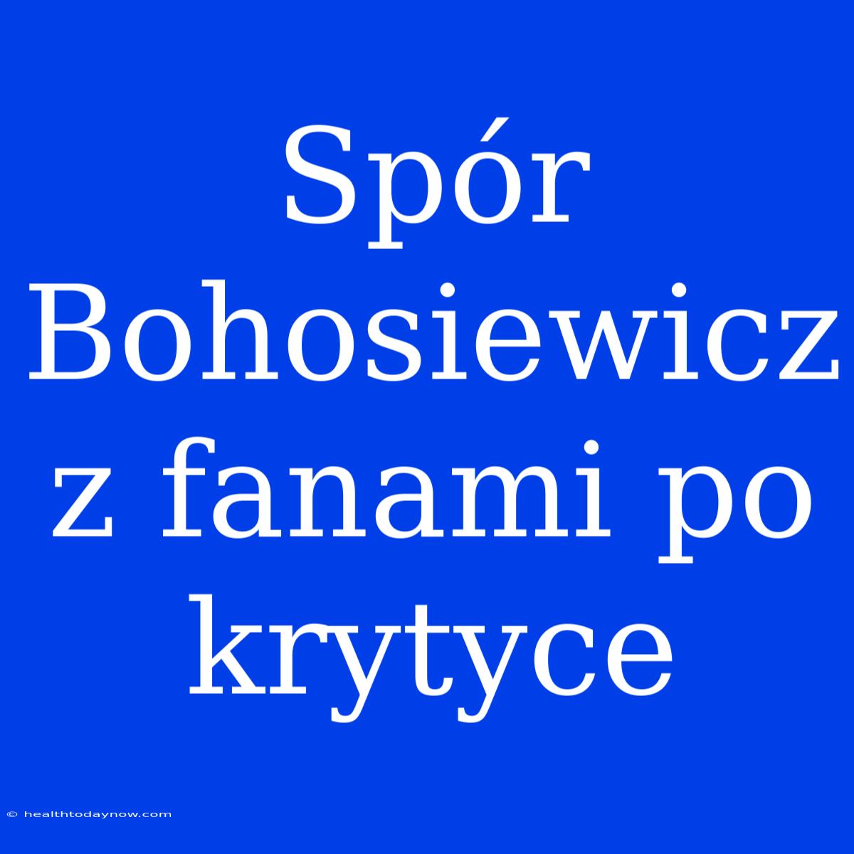 Spór Bohosiewicz Z Fanami Po Krytyce 