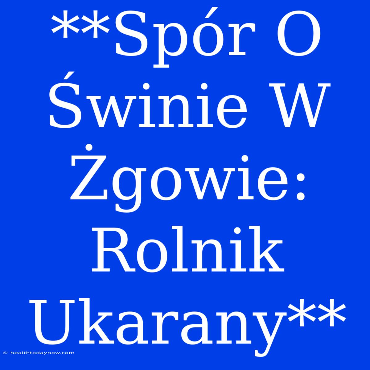 **Spór O Świnie W Żgowie: Rolnik Ukarany**