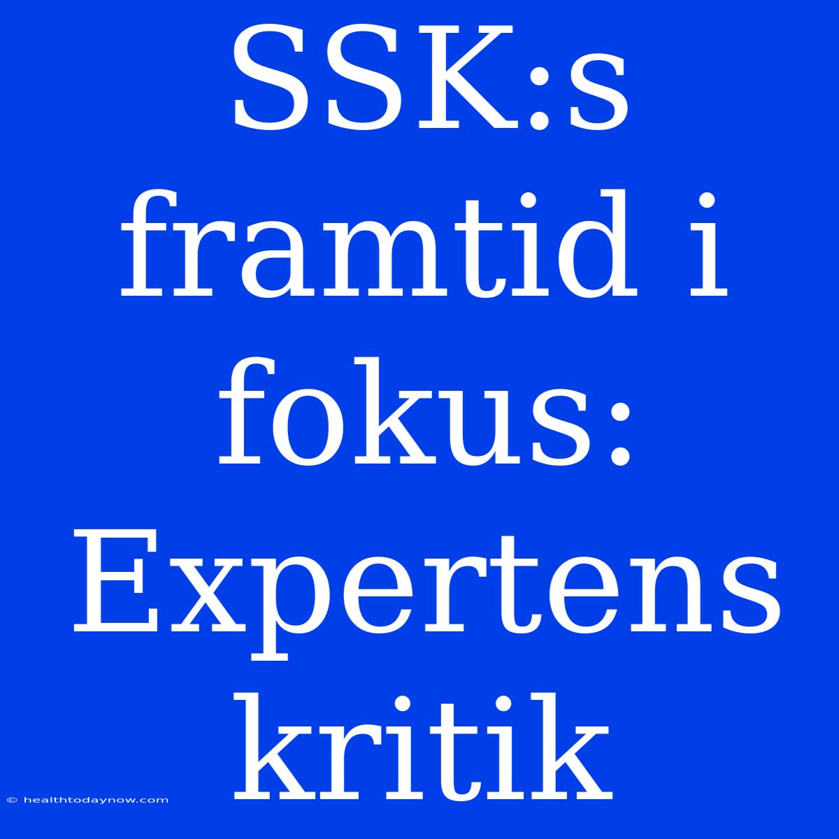 SSK:s Framtid I Fokus: Expertens Kritik