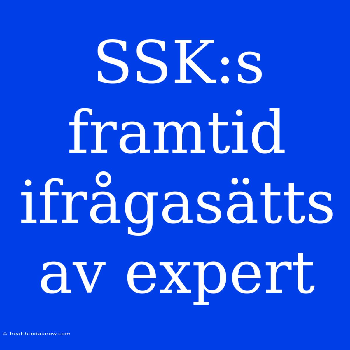 SSK:s Framtid Ifrågasätts Av Expert