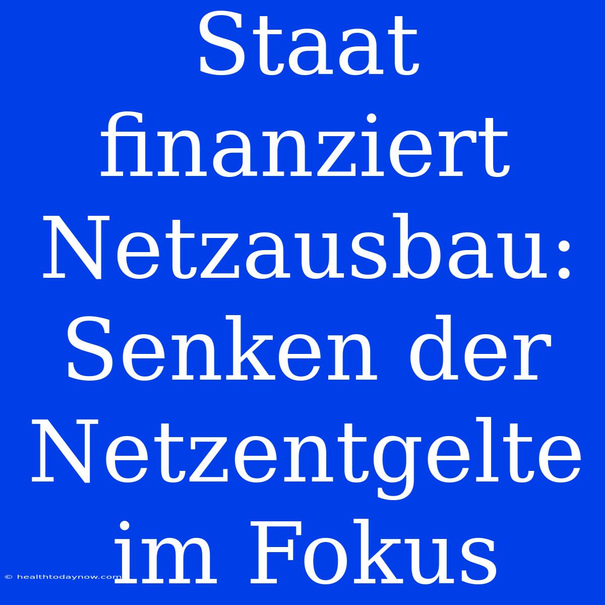 Staat Finanziert Netzausbau: Senken Der Netzentgelte Im Fokus