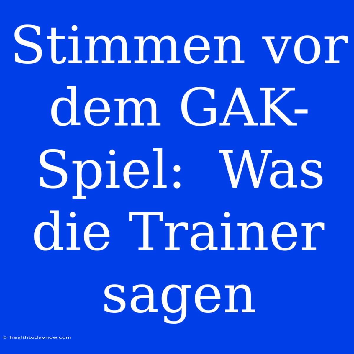 Stimmen Vor Dem GAK-Spiel:  Was Die Trainer Sagen 