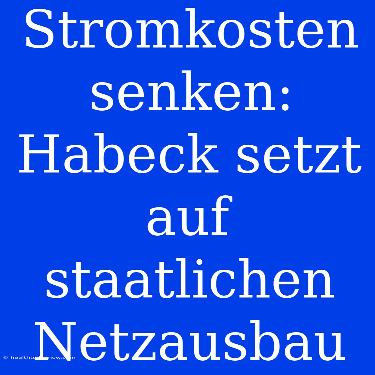 Stromkosten Senken: Habeck Setzt Auf Staatlichen Netzausbau