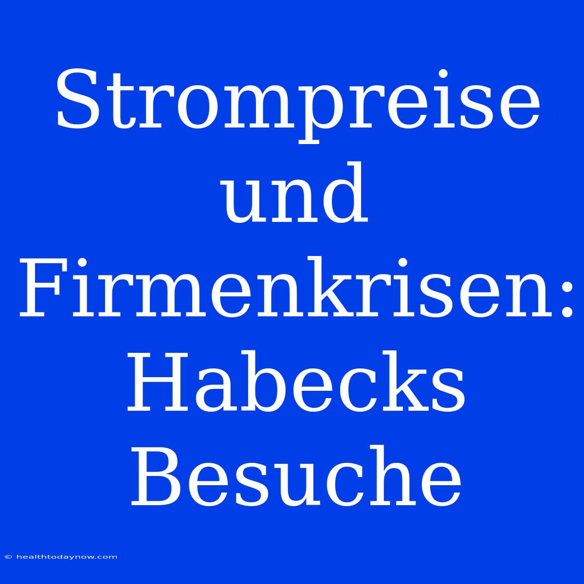 Strompreise Und Firmenkrisen: Habecks Besuche 