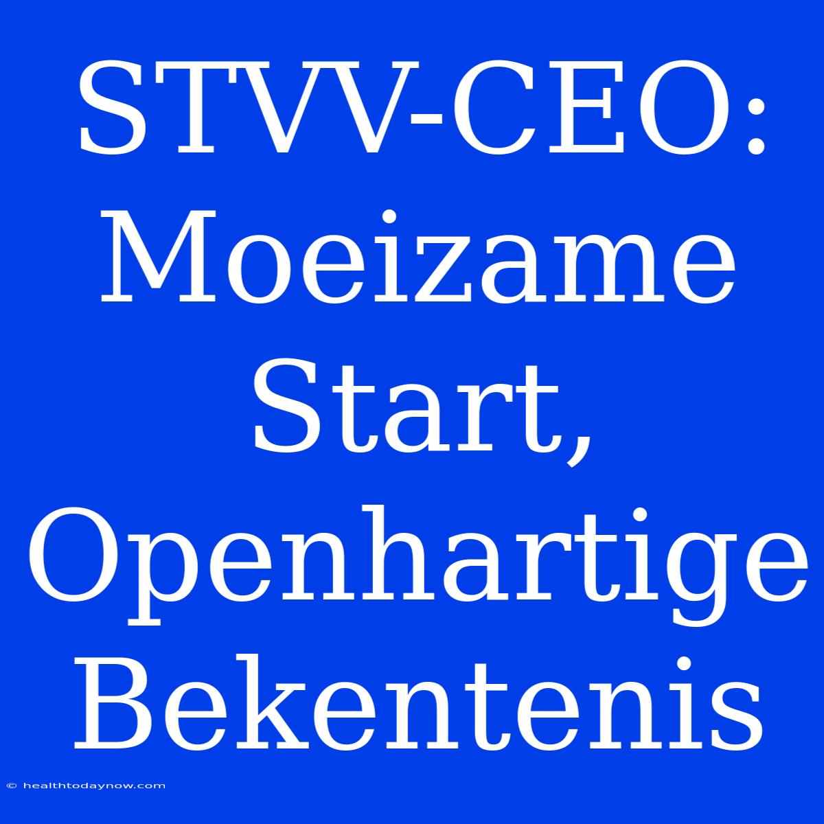 STVV-CEO: Moeizame Start, Openhartige Bekentenis