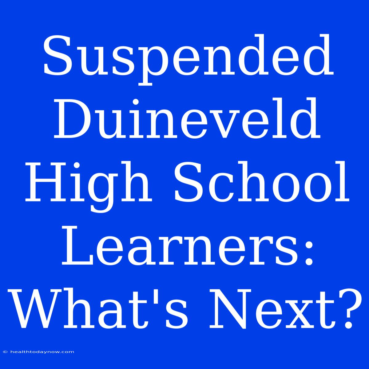 Suspended Duineveld High School Learners: What's Next?