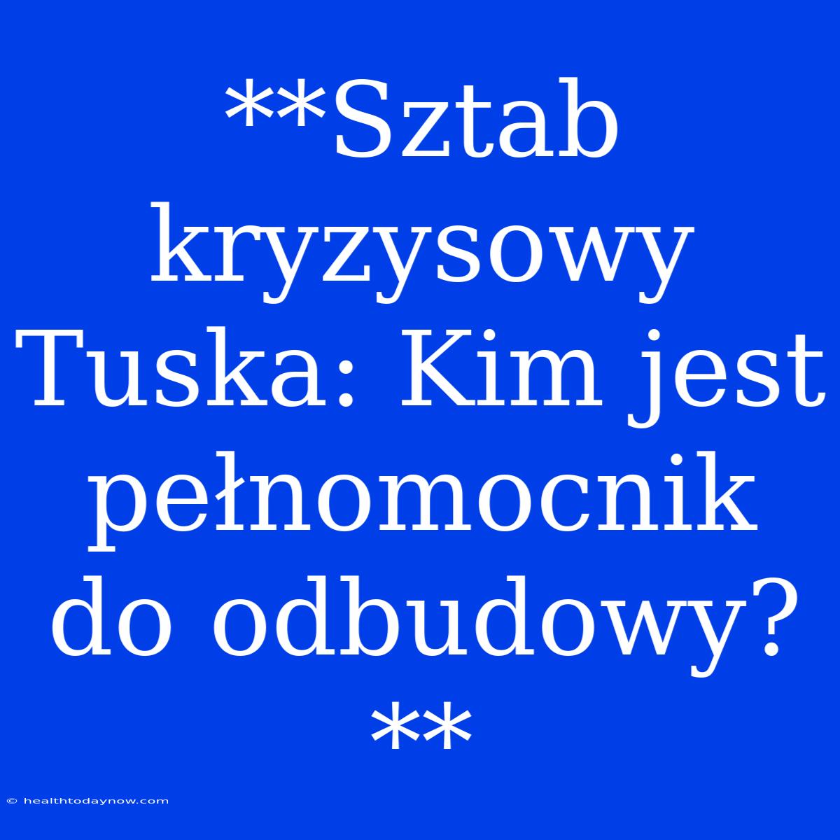 **Sztab Kryzysowy Tuska: Kim Jest Pełnomocnik Do Odbudowy?**