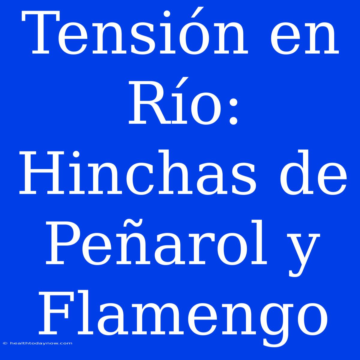 Tensión En Río: Hinchas De Peñarol Y Flamengo