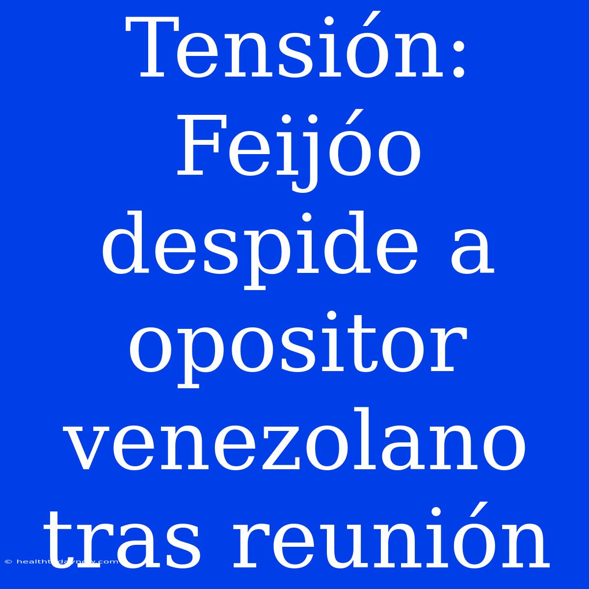 Tensión: Feijóo Despide A Opositor Venezolano Tras Reunión