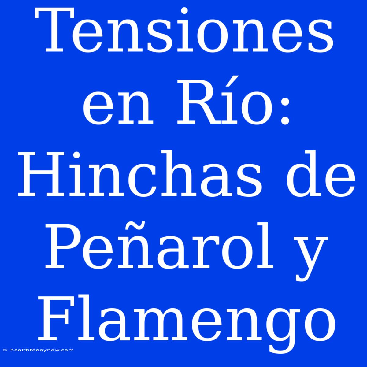 Tensiones En Río: Hinchas De Peñarol Y Flamengo