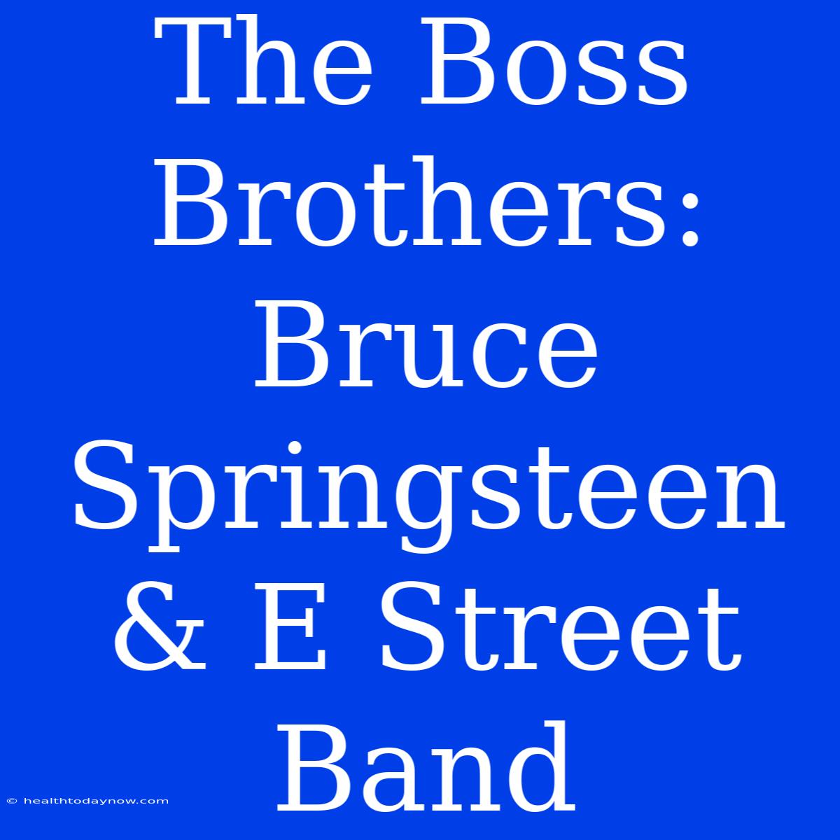 The Boss Brothers: Bruce Springsteen & E Street Band