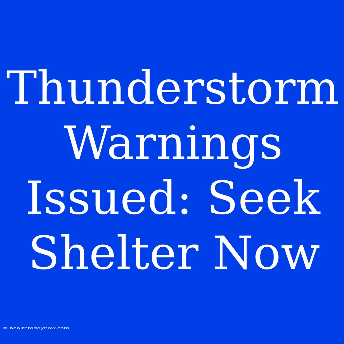 Thunderstorm Warnings Issued: Seek Shelter Now