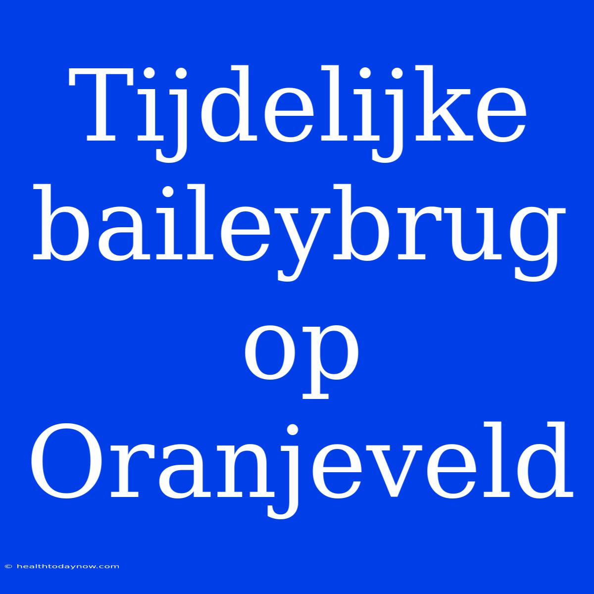 Tijdelijke Baileybrug Op Oranjeveld