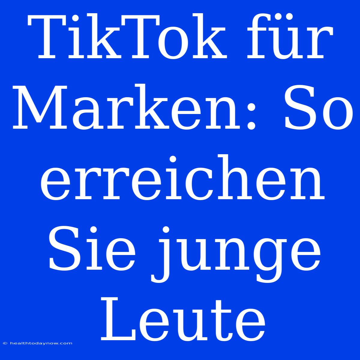 TikTok Für Marken: So Erreichen Sie Junge Leute