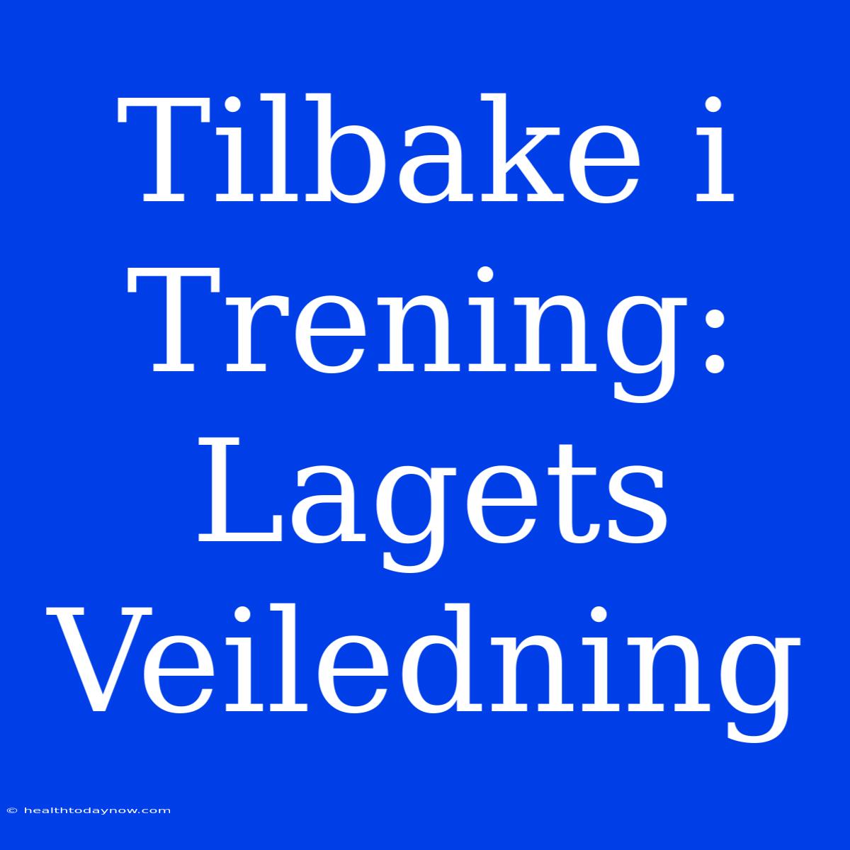 Tilbake I Trening: Lagets Veiledning