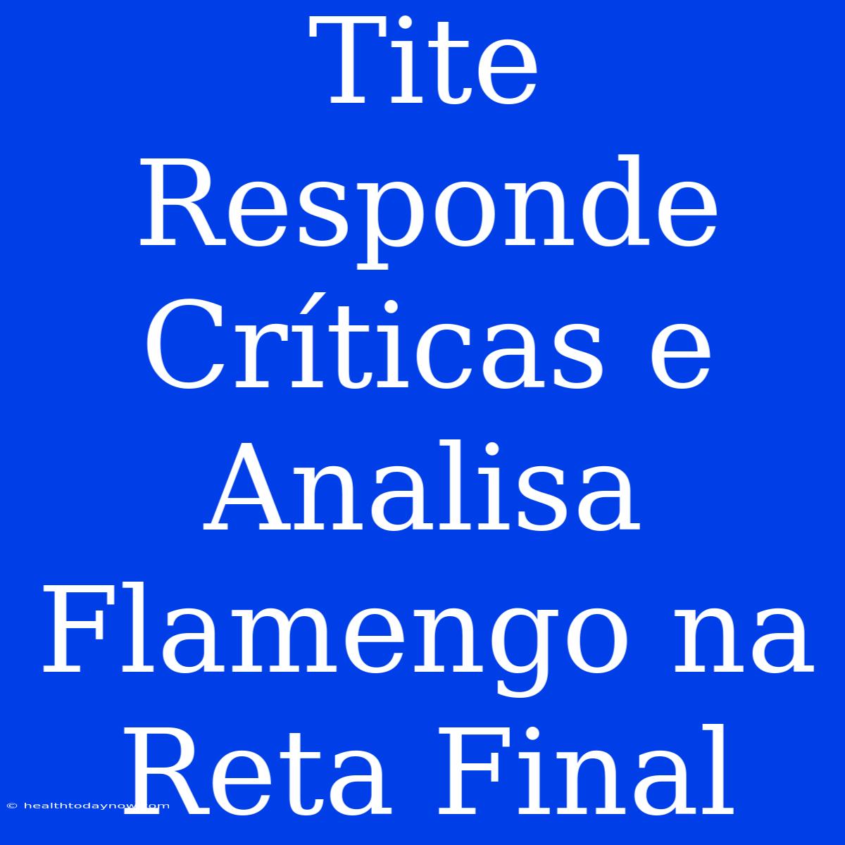 Tite Responde Críticas E Analisa Flamengo Na Reta Final