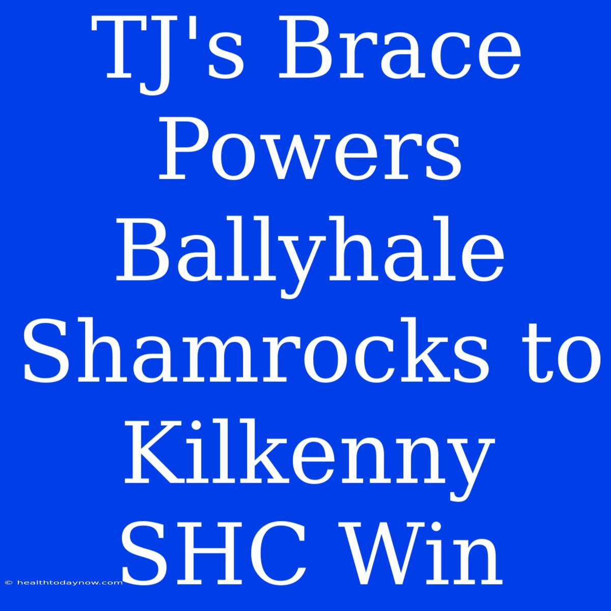 TJ's Brace Powers Ballyhale Shamrocks To Kilkenny SHC Win